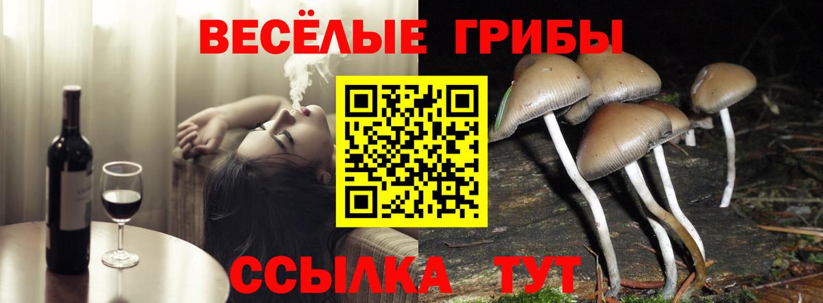 Галлюциногенные грибы мухоморы Дзержинск